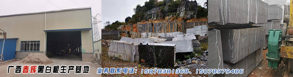 广西九游会官网登录中心黑白根生产基地www.txsls.com的网站横幅图片